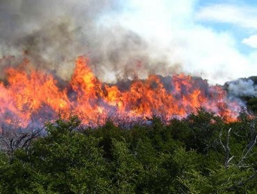 Onemi declara alerta temprana preventiva por riesgo de incendios forestales