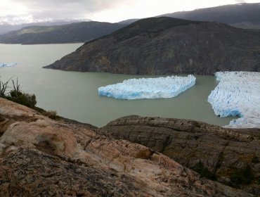 Masa de Hielo se desprende de glaciar Grey en Torres del Paine