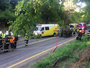 Kinesiólogo se transforma en la víctima número 11 de trágico volcamiento de bus en Victoria