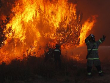 Onemi decreta alerta amarilla para Palena por incendio forestal