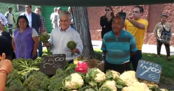 Nuevo revés en salida a terreno de Piñera: En medio de una feria empiezan a gritar "Guillier, Guillier"