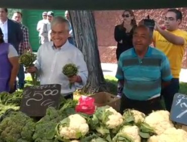 Nuevo revés en salida a terreno de Piñera: En medio de una feria empiezan a gritar "Guillier, Guillier"