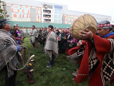 Gobierno restituye 3.600 hectáreas a cuatro comunidades mapuche de La Araucanía