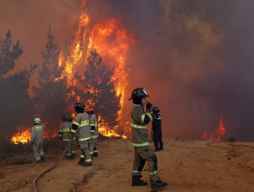 Declaran alerta roja para la comuna de Melipilla por incendio forestal