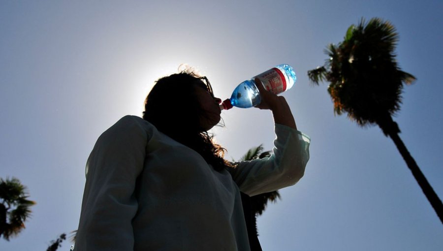 Alerta en Región de Valparaíso por altas temperaturas y factor 30-30-30 que favorece a los incendios