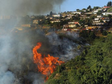 Onemi canceló alerta roja por incendios forestales en Quilpué y Viña del Mar