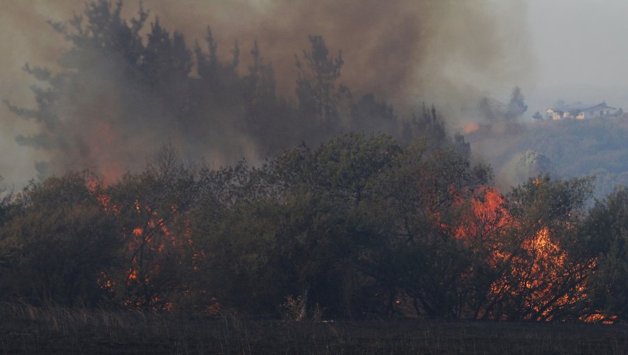 Onemi amplió alerta roja a Villa Alemana por incendio en “Parcela Santa Ignacia”