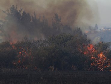 Onemi amplió alerta roja a Villa Alemana por incendio en “Parcela Santa Ignacia”