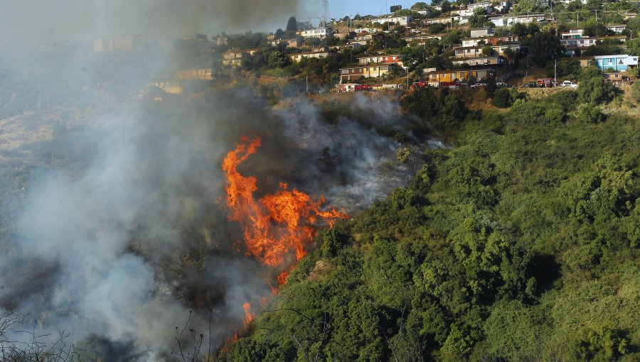 Incendio forestal en Valparaíso deja cinco damnificados: Se mantiene alerta roja