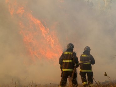 Onemi mantiene alerta roja por incendios forestales en Limache y Villa Alemana