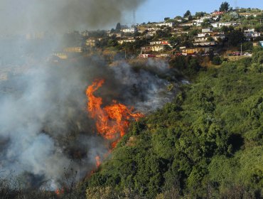 Incendio forestal en Valparaíso deja cinco damnificados: Se mantiene alerta roja