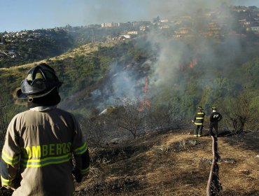 Onemi: Controlan incendios forestales en las comunas de Limache y Villa Alemana