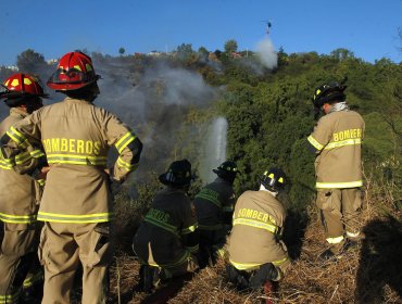 Onemi declara alerta amarilla para Valparaíso por incendio forestal