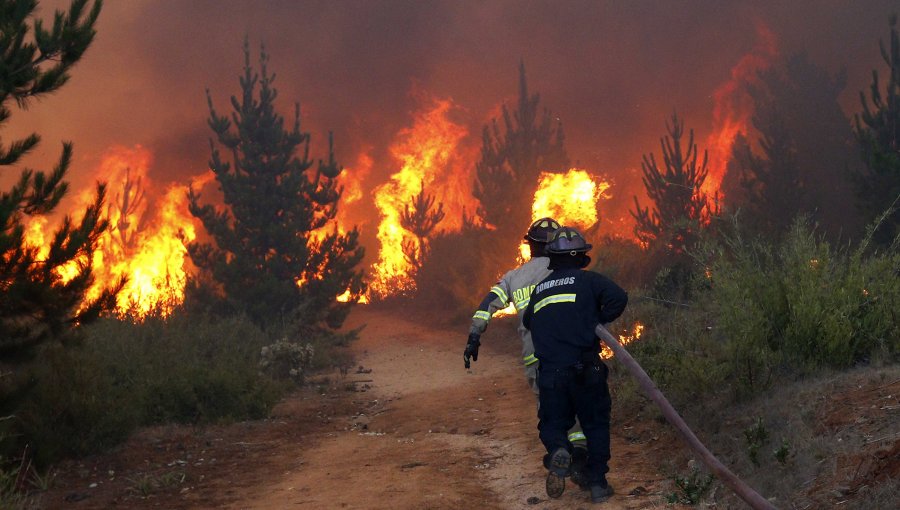 Van 1.520 incendios forestales desde julio, 23% menos que la temporada pasada