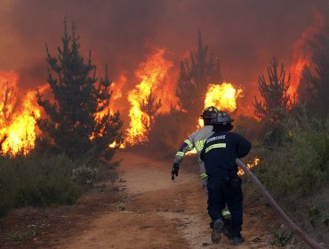 Van 1.520 incendios forestales desde julio, 23% menos que la temporada pasada