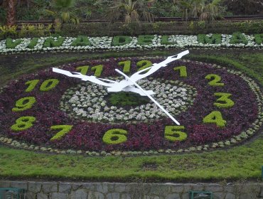 Alcaldesa de Viña del Mar interpuso querella por daños al reloj de flores