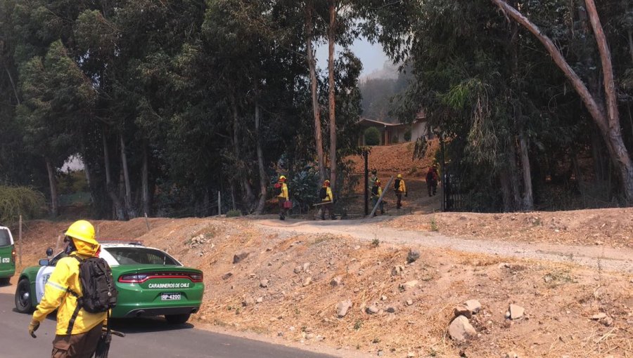 V Región: Onemi decretó alerta roja por incendio forestal en Hijuelas