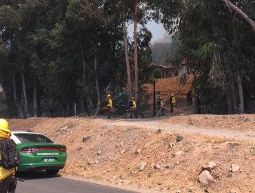 V Región: Onemi decretó alerta roja por incendio forestal en Hijuelas