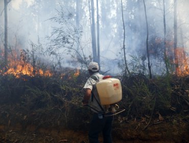 Onemi decreta alerta roja en Colina: Dos casas fueron destruidas por las llamas