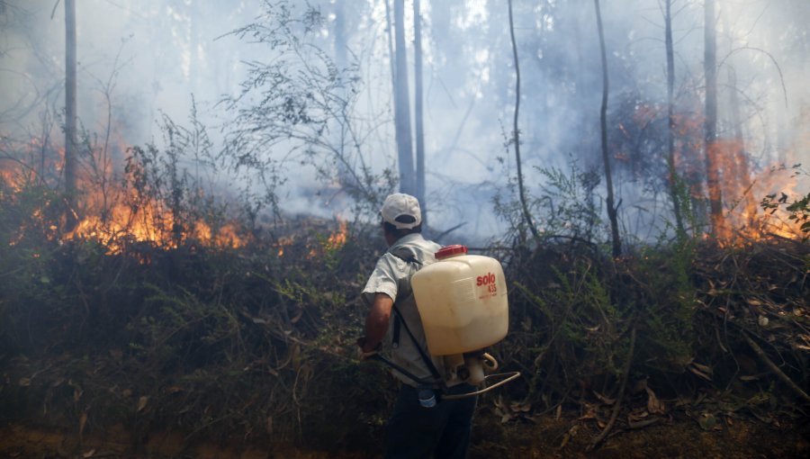 Onemi decreta alerta roja en Colina: Dos casas fueron destruidas por las llamas