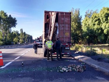 Maquina de la empresa Pullman Bus impacta a Camión en plena Ruta 5 Sur cerca de Los Ángeles