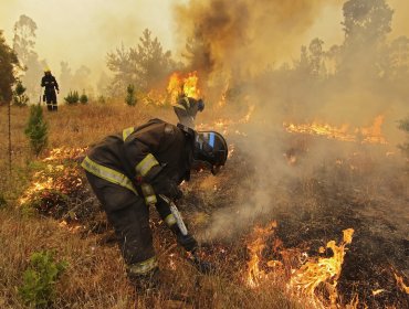 Declaran alerta roja comunal en Cartagena por incendio forestal cercano a casas