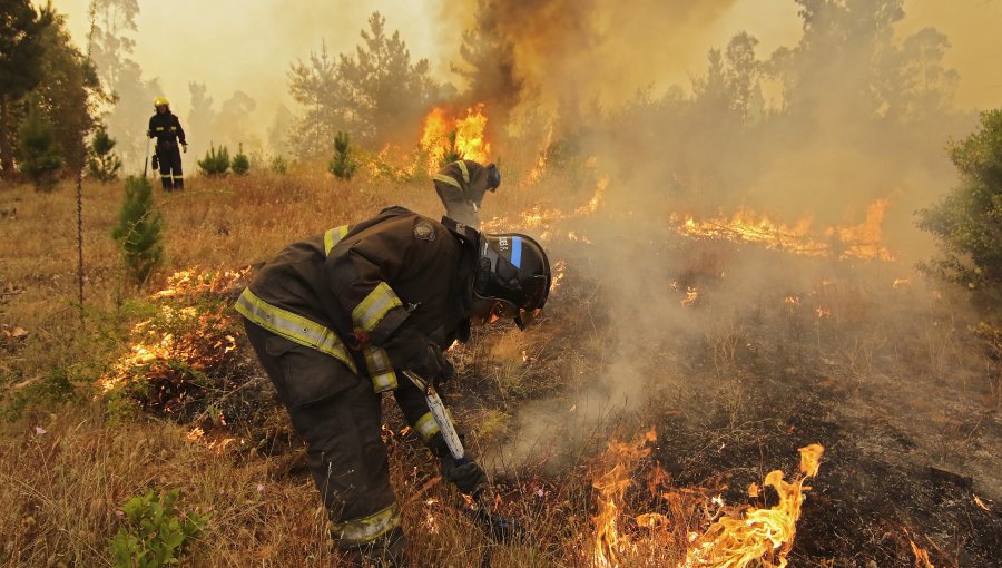 Declaran alerta roja comunal en Cartagena por incendio forestal cercano a casas