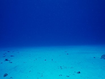 Alarma científica: Esta es la razón por la que se está hundiendo el fondo del mar