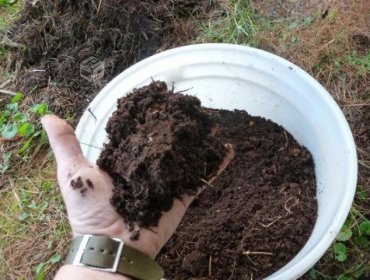 Desde ahora robo de tierra de hojas puede ser castigado hasta con 5 años de cárcel