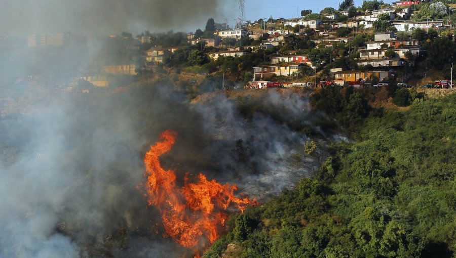 Decretan Alerta Roja para Viña del Mar por incendio en Lajarilla