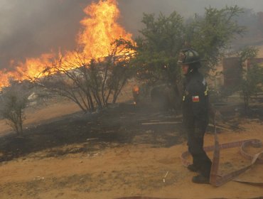 Onemi decreta Alerta Roja para Quilpué y Villa Alemana por incendios forestales