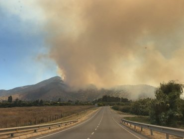 Alerta Roja: Incendio forestal afecta a 100 hectáreas entre La Cruz y La Calera