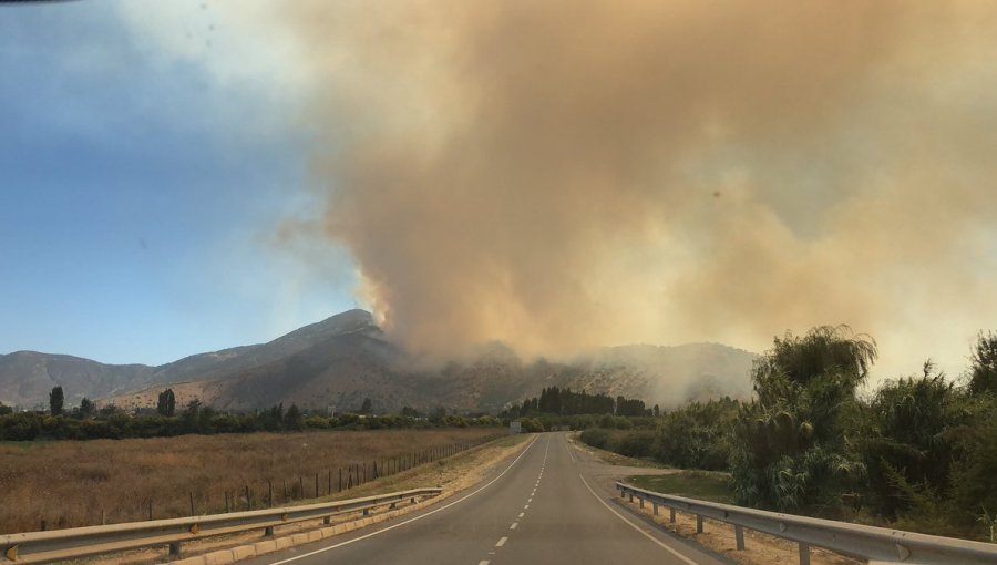 Alerta Roja: Incendio forestal afecta a 100 hectáreas entre La Cruz y La Calera