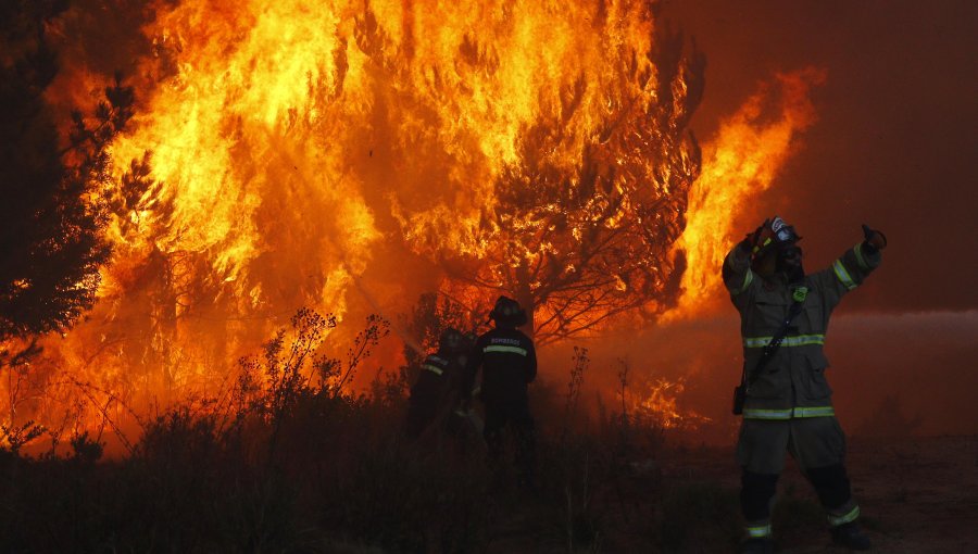 Incendios en Zona Centro Sur: Valparaíso, Villa Alemana, Requinoa y Región del Bio Bio en Alerta