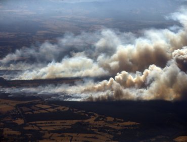 Mega Incendio Forestal arrasa con más de 150 hectáreas en la Región de La Araucanía