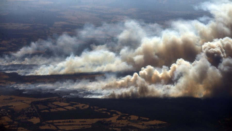 Al menos 11 Incendios Forestales se mantienen activos en el país: Ercilla sigue ardiendo en el Sur