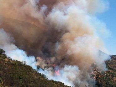 Incendios en Región de Valparaíso: Casablanca y Quilpué en alerta por siniestros forestales