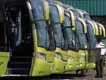 Detienen a pasajera de Tur Bus que transportaba 290 ovoides con 3 kilos de drogas