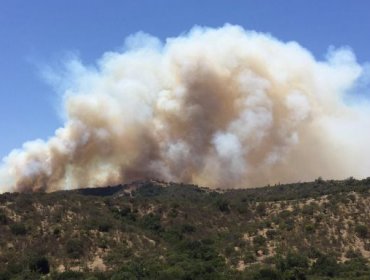 77 Incendios Forestales en todo Chile: Región de Valparaíso y Araucanía acumulan más siniestros