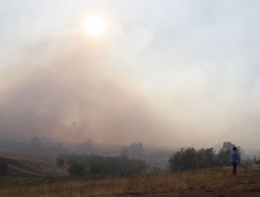 Onemi mantiene Alerta Roja para Limache y Villa Alemana por incendios