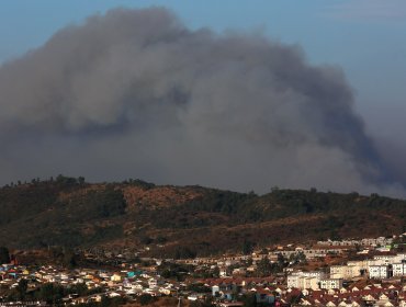 Gobernación de Marga Marga presentó querella por cinco incendios forestales