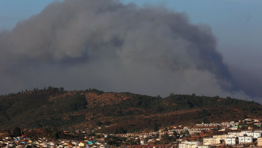 Gobernación de Marga Marga presentó querella por cinco incendios forestales