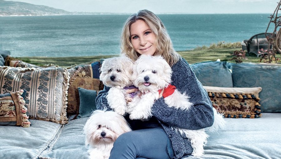 Barbara Streisand clonó dos veces a su amada mascota