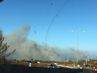Alerta Roja en Viña del Mar por Incendio en el sector del Puente Las Cucharas