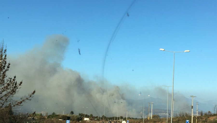 Alerta Roja en Viña del Mar por Incendio en el sector del Puente Las Cucharas