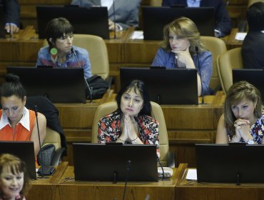 Cámara de Diputados acordó funcionamiento de la sala y comisiones en primera sesión