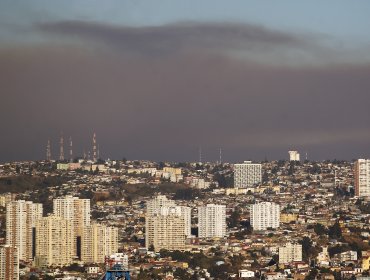 Declaran Alerta Roja por incendio forestal en Quilpué: Fuego consume más de 50 hectáreas