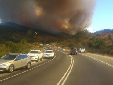 Continúa Alerta Roja en Quilpué por incendio forestal: 180 hectáreas se han consumido