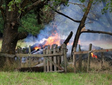 Nuevo ataque en Arauco: Encapuchados queman viviendas y galpones al sur de Cañete