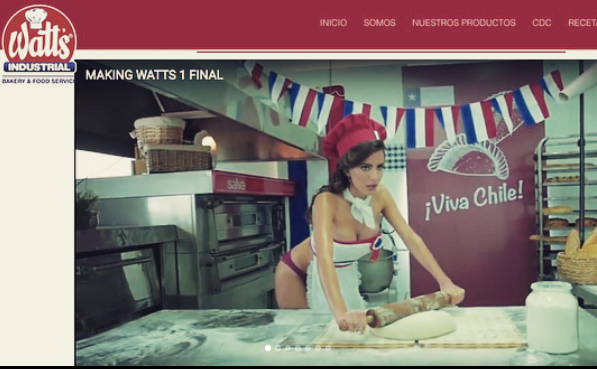 Estas son las fotos del Calendario de Watts que fue catalogado de "sexista"